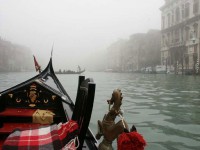 111venisebrume