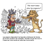 pigeons à Venise