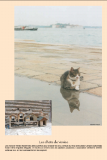 chat