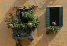 Fenêtre fleurie à San Zandegola à Venise