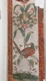 grimani-oiseaux-1