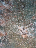 grimani-plafond-oiseaux-1