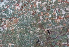 grimani-plafond-oiseaux-2