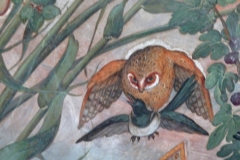 grimani-plafond-oiseaux-3