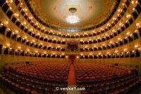 fenice-venise