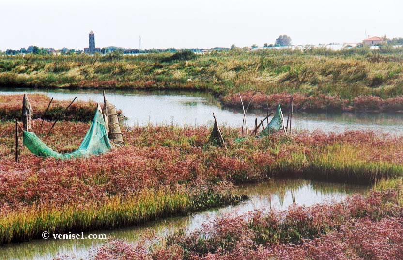 Lagune de Venise îles de la lagune vénitienne