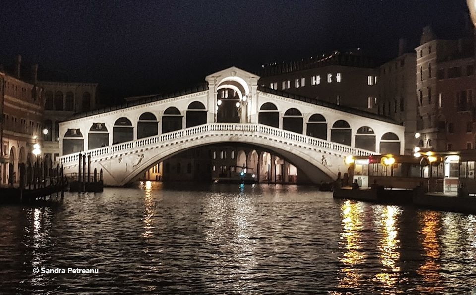 Pont du Rialto à Venise de nuit