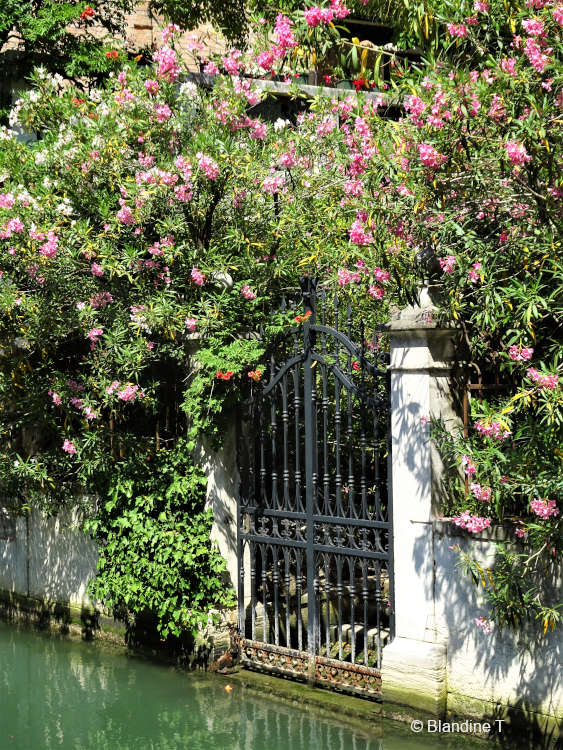 Photo de fer forgé sur le rio de la Panada à Venise