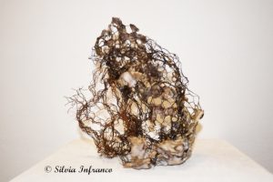 Herbaria, 2021, pigments d'oxyde de bitume de cire sur bois © Silvia Infranco